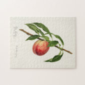 Pfirsich (Prunus Persica) Fruchtfarben Puzzle (Horizontal)