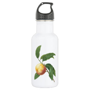 Pfirsich (Prunus sp.) von Redouté Trinkflasche