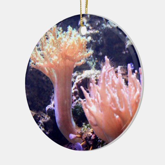 Pfirsich-rosa korallenrote keramikornament (Links)