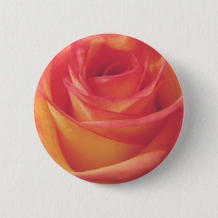Pfirsich-Rosa-Rosenblüten-Vintage-Fotografie Button