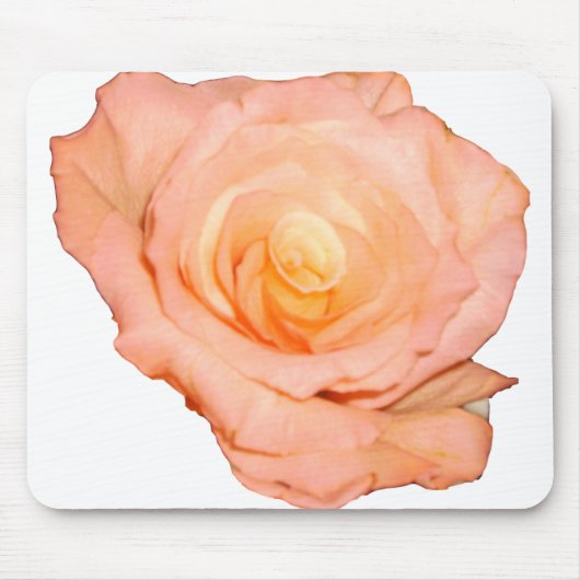 Pfirsich-Rose Mousepad (Vorne)
