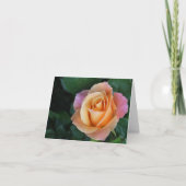 Pfirsich-Rose Notecard Karte (Vorderseite)
