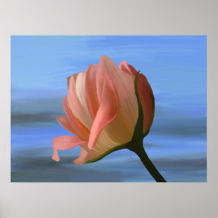 Pfirsich-Rosen-Druck Poster