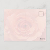 Pfirsich-Rosen-Postkarte Postkarte (Rückseite)