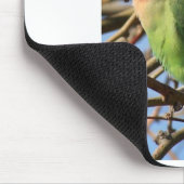 Pfirsich stellte Lovebird gegenüber Mousepad (Ecke)