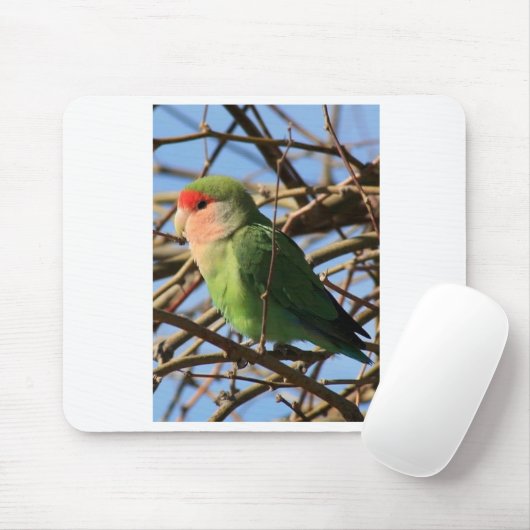 Pfirsich stellte Lovebird gegenüber Mousepad (Mit Mouse)