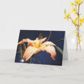 Pfirsich-Tageslilien-Gruß-Karte Karte (Gelbe Blume)