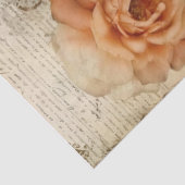 Pfirsich und Aquamariner Vogelkäfig Seidenpapier (Detail)