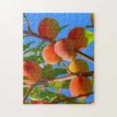 Pfirsichbaum Puzzle (Vertikal)