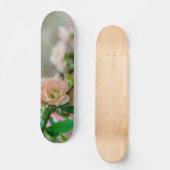 Pfirsichblendenzähigkeit Skateboard (Vorderseite)