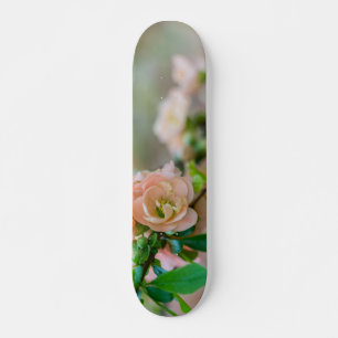 Pfirsichblendenzähigkeit Skateboard