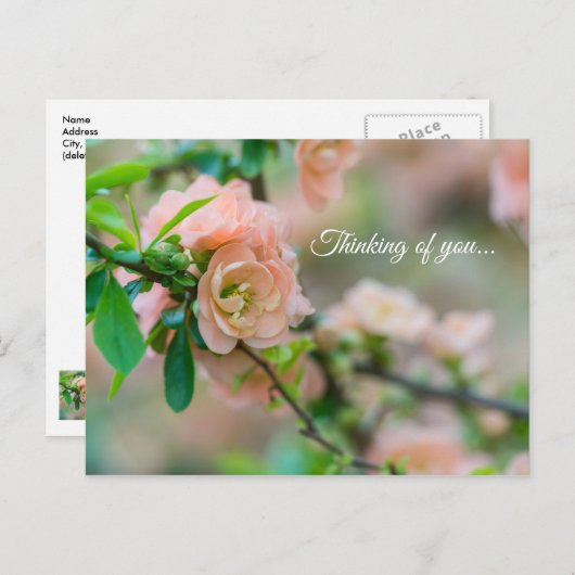 Pfirsichblühende Gedankenwelt Postkarte (Vorne/Hinten)