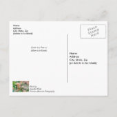 Pfirsichblühende Ruhe wird bald gut auf Postkarte (Rückseite)