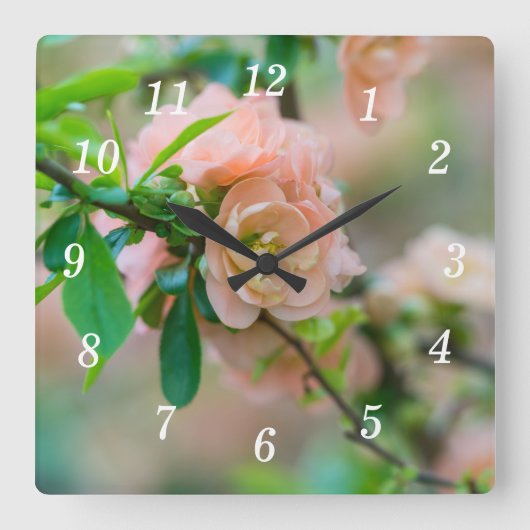 Pfirsichblühende Uhr (Vorderseite)