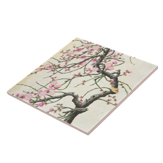 Pfirsichblüte (Farbe auf Papier) Fliese (Seite)