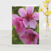 Pfirsichblüte Karte (Gelbe Blume)