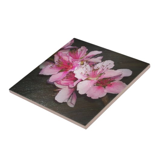 Pfirsichblüten Fliese (Seite)