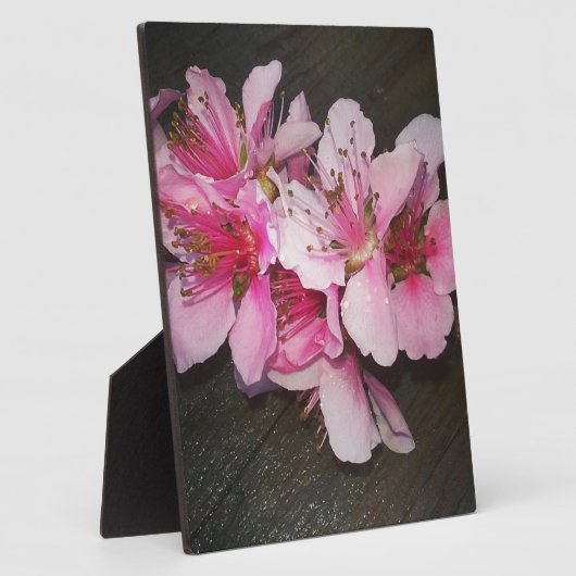 Pfirsichblüten Fotoplatte (Seite)