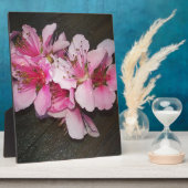 Pfirsichblüten Fotoplatte (Seite)