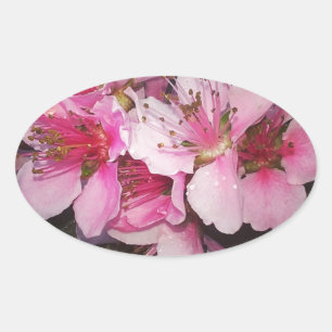Pfirsichblüten Ovaler Aufkleber
