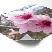 Pfirsichblüten Poster (Ecke)