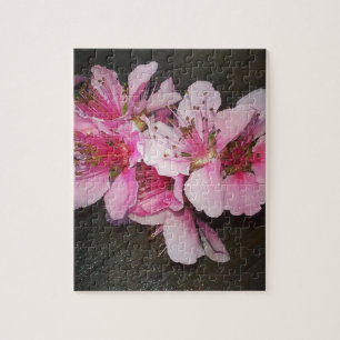 Pfirsichblüten Puzzle