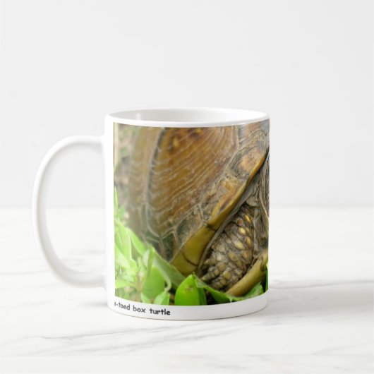 Pfirsiche 01 kaffeetasse (Links)