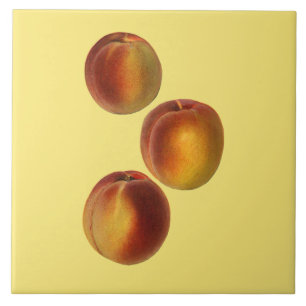 Pfirsiche Botanisch ~ Küche ~ beliebiger Farbhinte Fliese