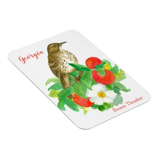 Pfirsiche Cherokee Rose Bird Magnet (Rechte Seite)