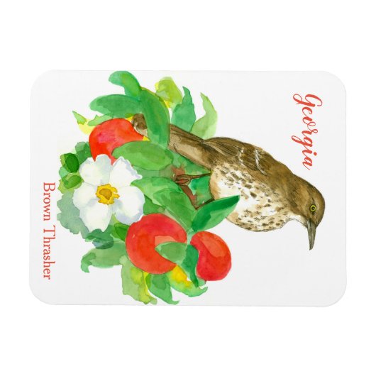Pfirsiche Cherokee Rose Bird Magnet (Horizontal)
