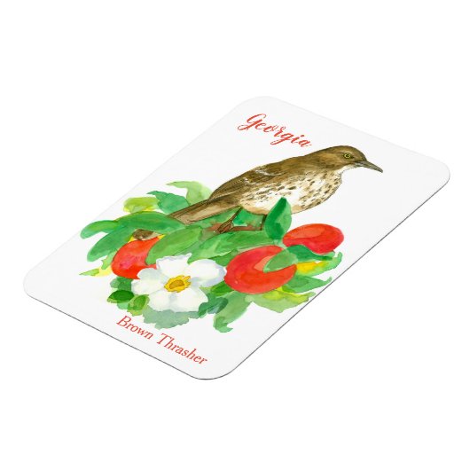 Pfirsiche Cherokee Rose Bird Magnet (Linke Seite)