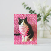 Pfirsiche der Tuxedo Katze Pink Postkarte (Stehend Vorderseite)