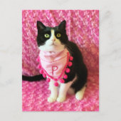 Pfirsiche der Tuxedo Katze Pink Postkarte (Vorderseite)