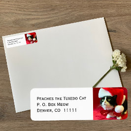 Pfirsiche die Tuxedo Cat Weihnachtsadressen Labels