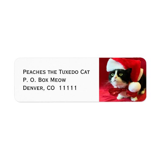 Pfirsiche die Tuxedo Cat Weihnachtsadressen Labels (Vorne)