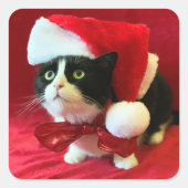 Pfirsiche die Tuxedo Katze Weihnachtskleber Quadratischer Aufkleber (Vorderseite)