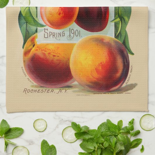 Pfirsiche Geschirrtuch (Gefaltet)