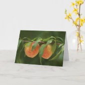 Pfirsiche Karte (Gelbe Blume)