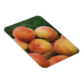 Pfirsiche Magnet (Rechte Seite)