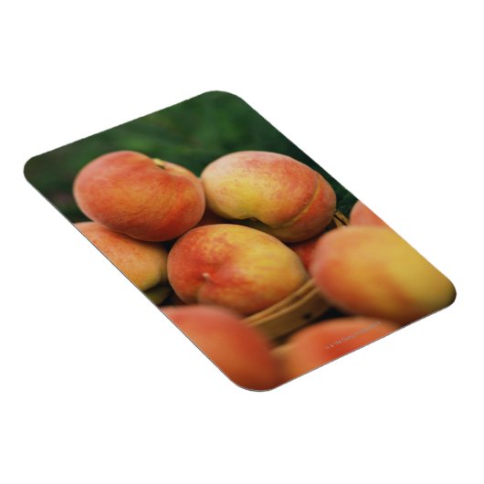 Pfirsiche Magnet (Rechte Seite)