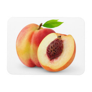 Pfirsiche Magnet