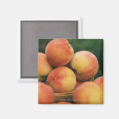 Pfirsiche Magnet (Vorderseite/Rückseite)