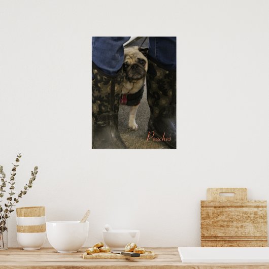 Pfirsiche Poster (Küche)