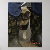 Pfirsiche Poster (Vorne)