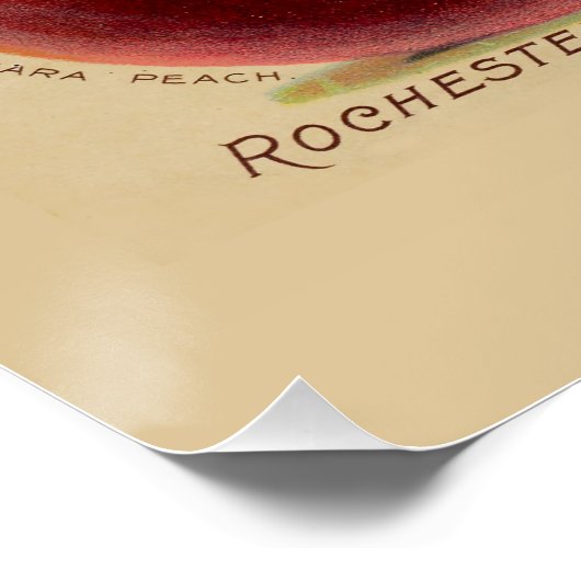 Pfirsiche Poster (Ecke)