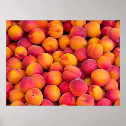 Pfirsiche Poster (Vorne)