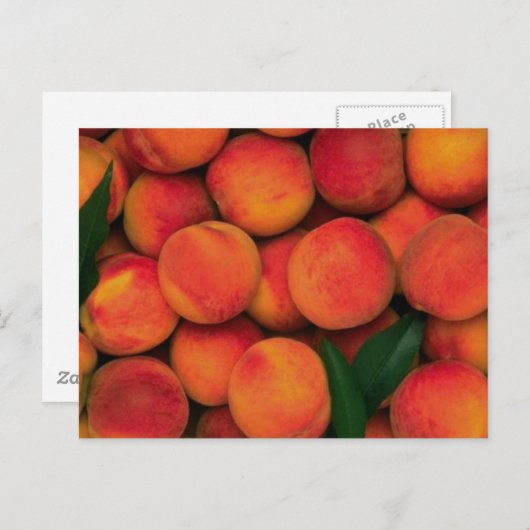Pfirsiche Postkarte (Vorne/Hinten)