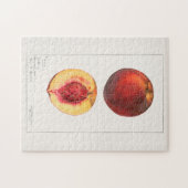 Pfirsiche (Prunus Persica) Fruchtfarben Puzzle (Horizontal)