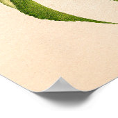 Pfirsiche (Prunus Persica) von Royal Charles Stead Poster (Ecke)