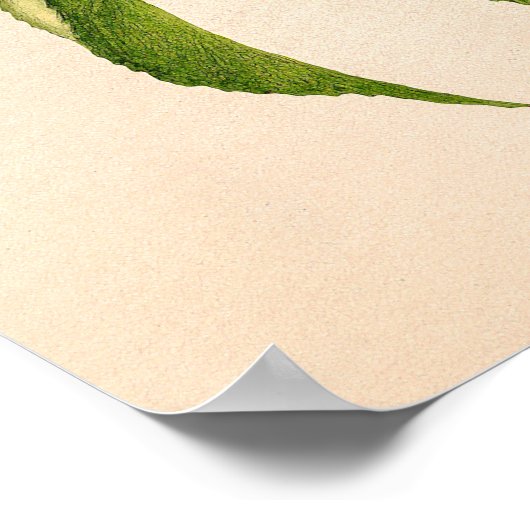 Pfirsiche (Prunus Persica) von Royal Charles Stead Poster (Ecke)